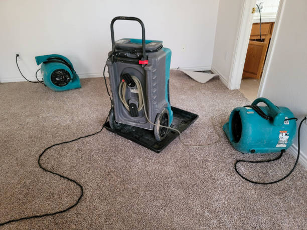 Best Commercial water damage restoration  in Robstown, TX
