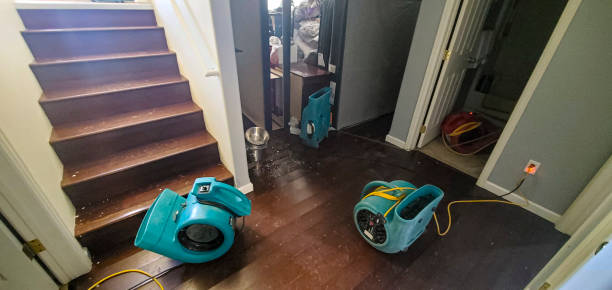 Best Sewage cleanup and water damage restoration  in Robstown, TX