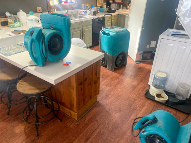  Robstown, TX Water damage restoration Pros