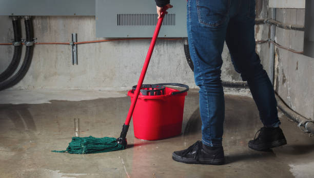 Best Water damage restoration near me  in Robstown, TX