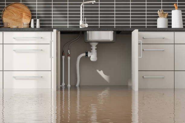 Best Flood restoration services  in Robstown, TX