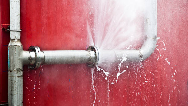 Best Water damage contractors near me  in Robstown, TX